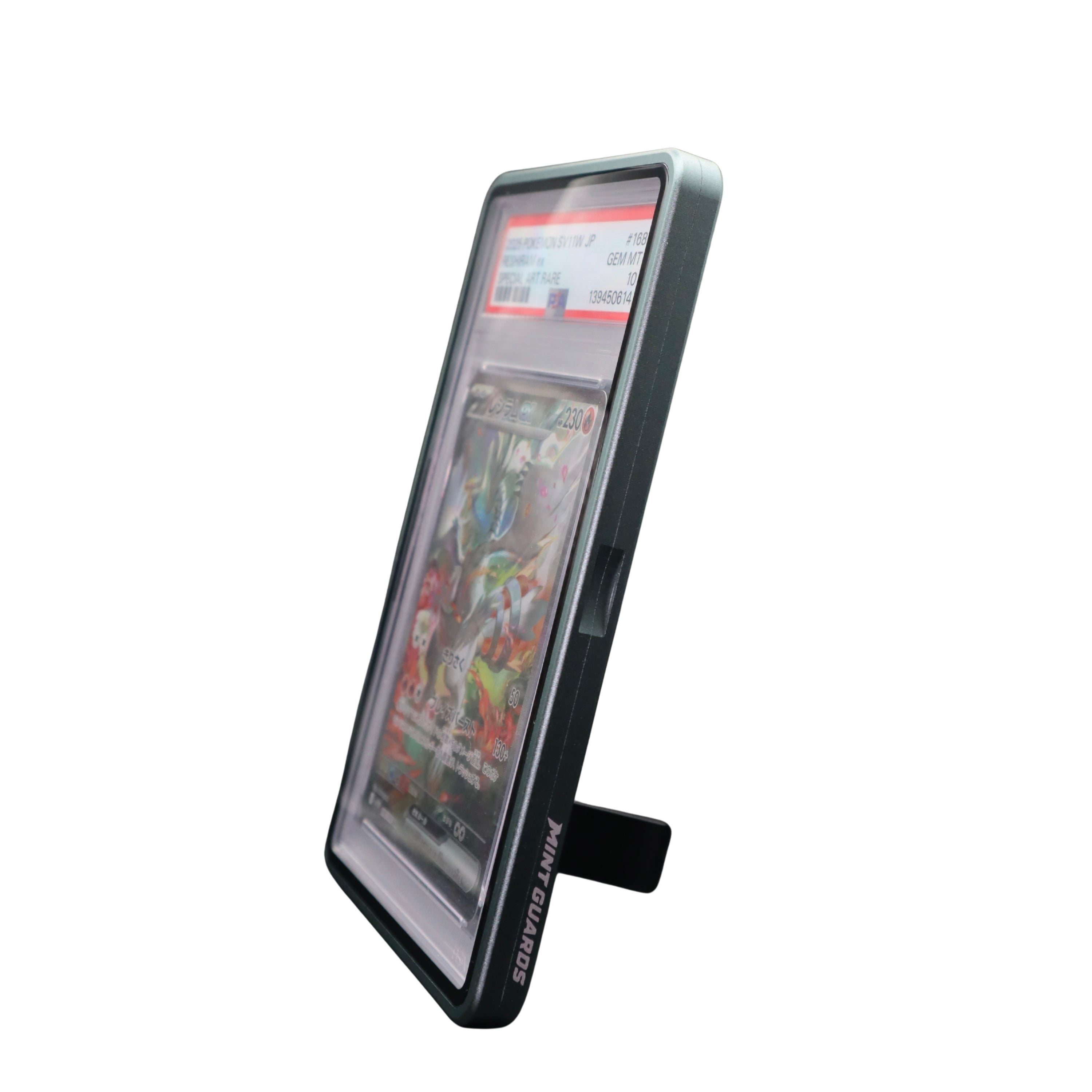 Standing Display Guard